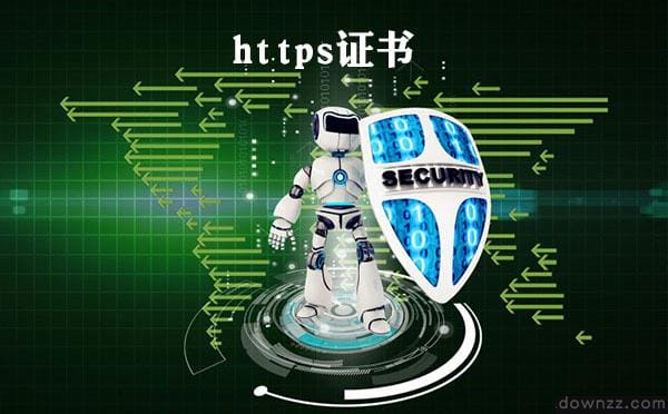 剖析大网站与小网站排名流量差异：策略剖析与应对之策
