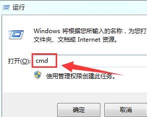 选对植物更护眼：盘点几种可抵御电脑辐射的绿色之星