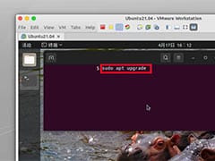 Ubuntu 21.04 安装后必做的几件事