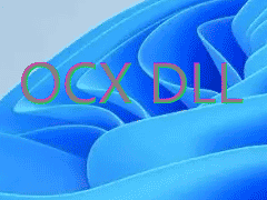 计算机术语扩展名DLL和OCX文件之间的差异