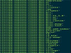 红旗6.0sp1分辨率无法调整的解决方案