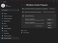 剖析Windows 11实验性功能/特性及Moment更新
