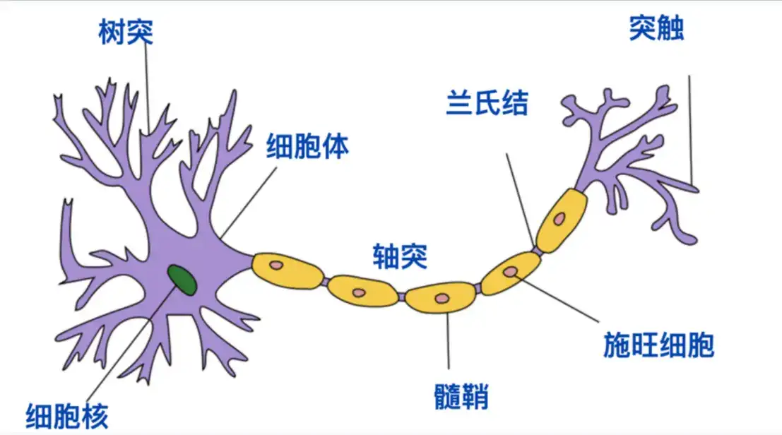剖析不停机部署服务的 3 大范例，助力持续交付