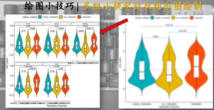 用 ProjecTILs 系列教程（七）：在线网站，让生物信息学触手可及