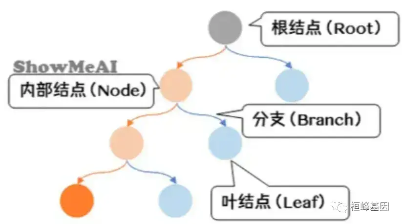巧解肿瘤诊断迷局：分类树算法的奥秘