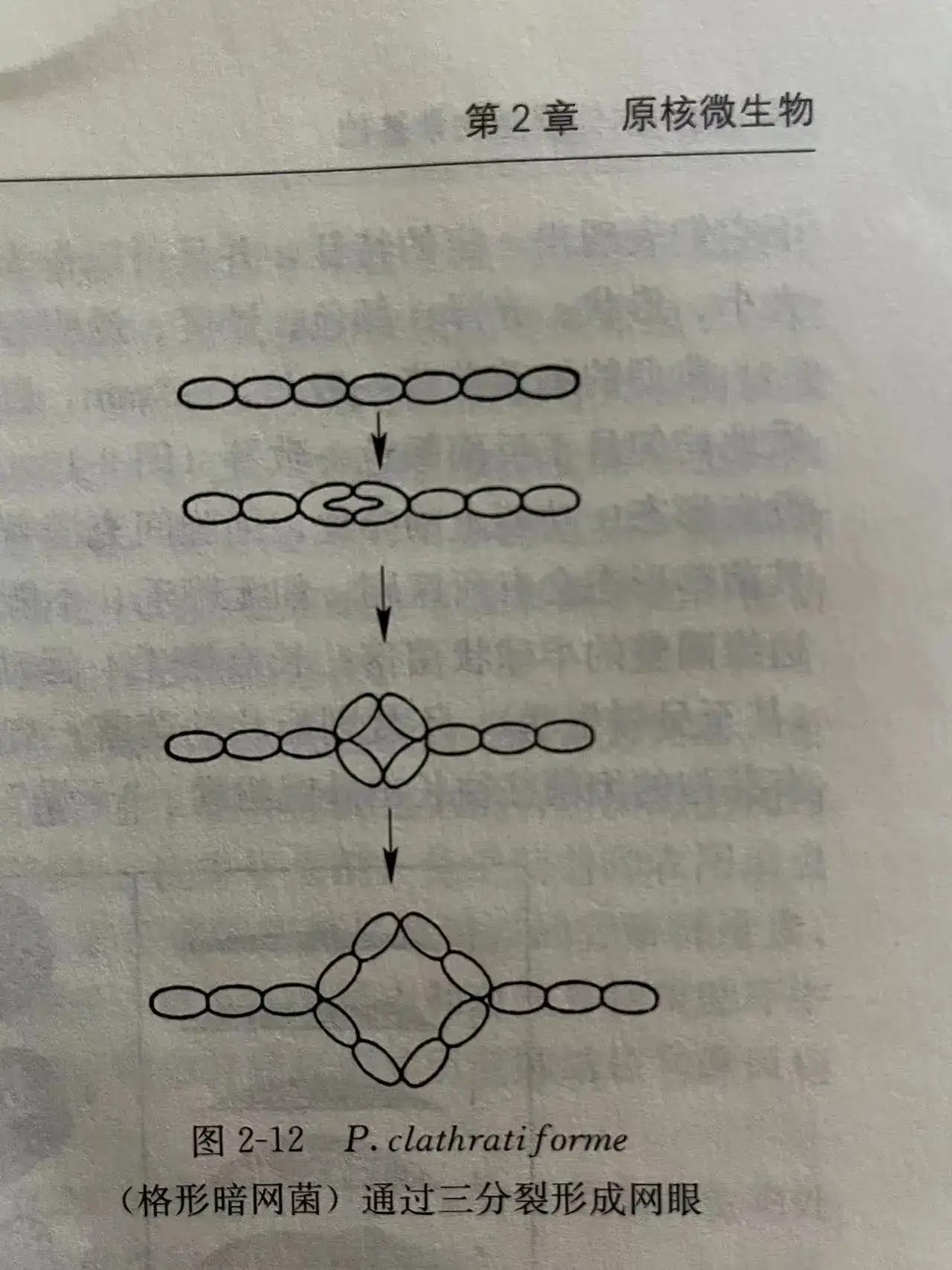数据清洗的流程