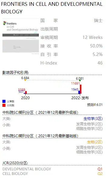 卡方检验：探索统计分析的强大工具