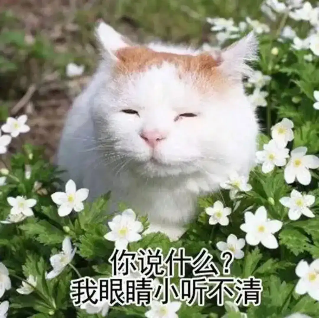 解锁Vim的秘密：释放文本编辑的无限可能**