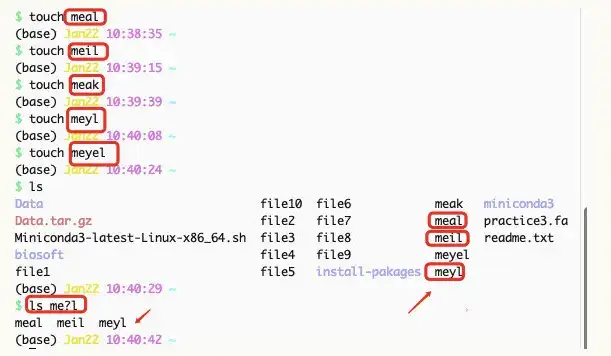 Linux基础环境搭建：通往跨平台开发的桥梁