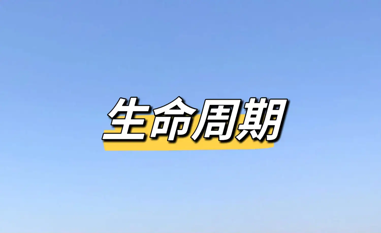 黑群晖搭建导航站：从零开始的个性化门户