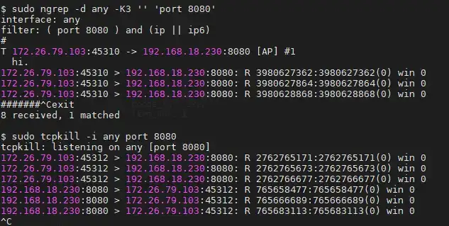 绕开 Python 反爬虫策略：技巧和工具
