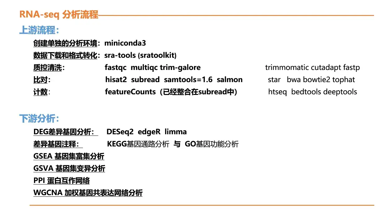巧用for循环：揭秘Auto.js脚本编写利器