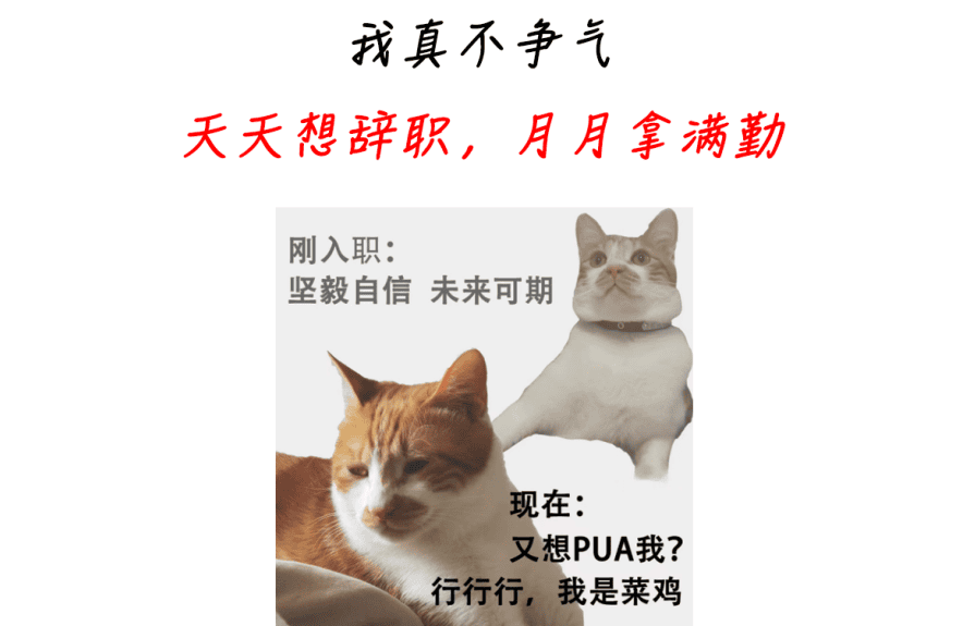 破解软件：使用OllyDbg解密软件的终极秘籍