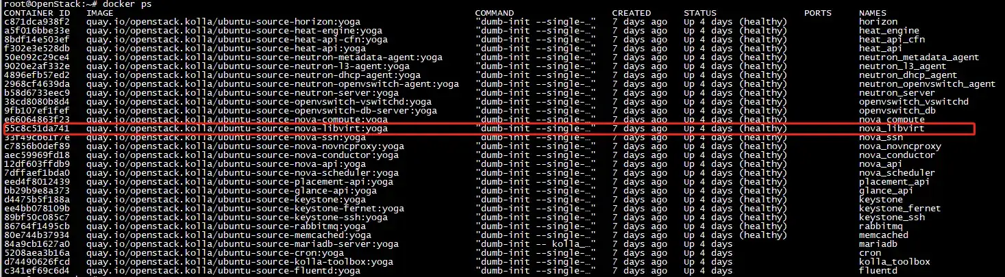 从 OpenStack 导出 qcow2 镜像指南