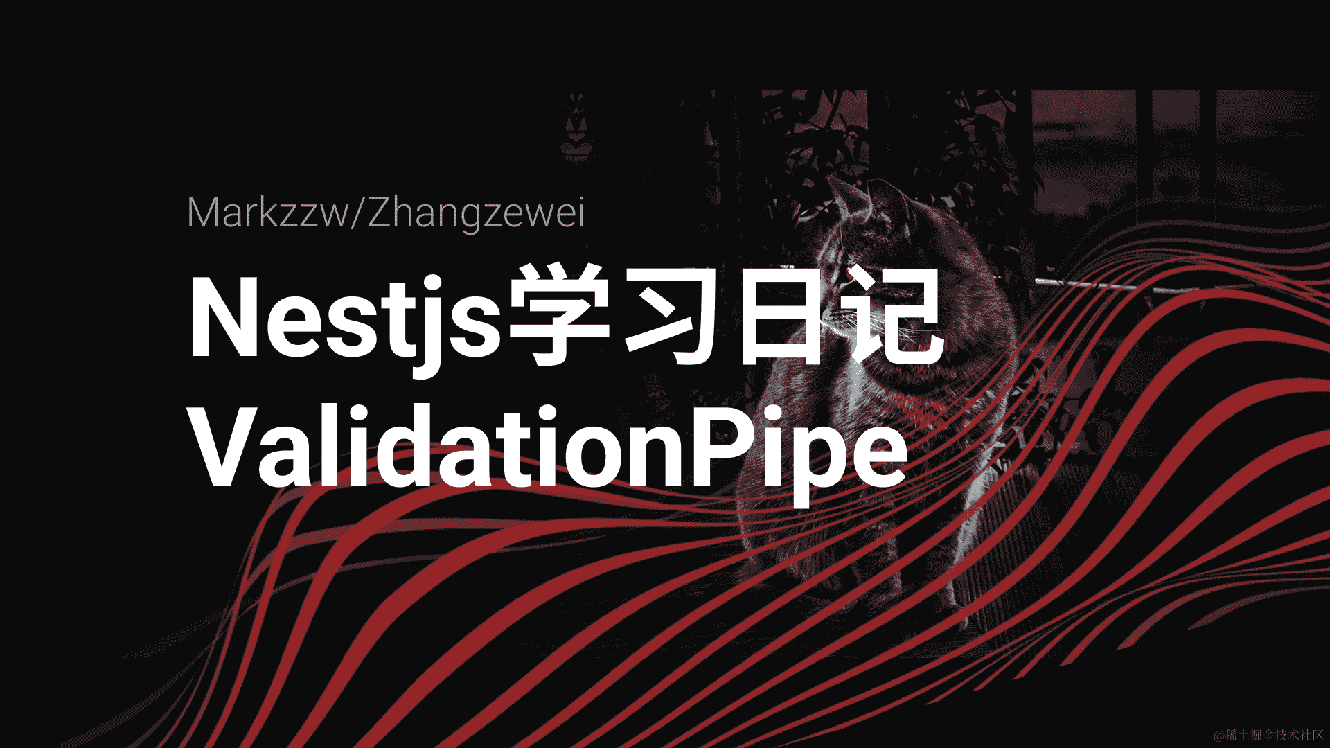 NestJS 开发中的数据验证利器：ValidationPipe