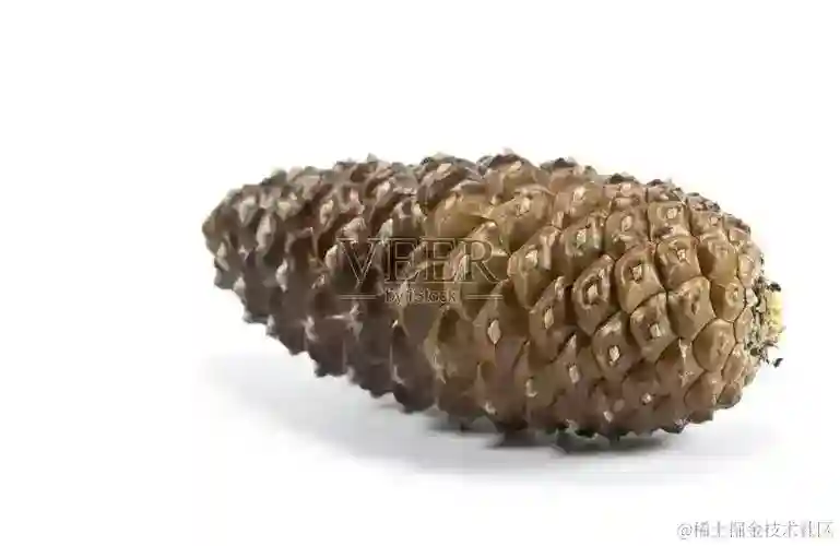 Pinecone：赋能开发者的向量数据库